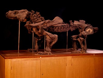 Preistoria; dinosauri: scheletro di ittiosauro da Prehistoric Prehistoric