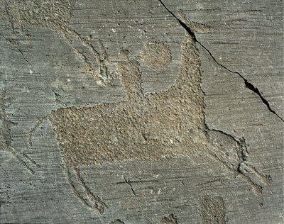 Preistoria, civiltà Camunni, arte rupestre: roccia tombale raffigurante un guerriero a cavallo con uno scudo. Periodo tra il Neolitico e l