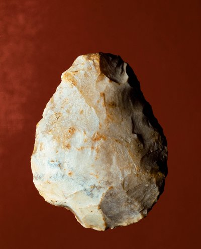 Preistoria: bifacciale di manifattura litica di tipo Micoquiano. Paleolitico inferiore. Verona, Museo Civico di Storia Naturale da Prehistoric Prehistoric