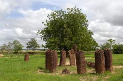 Preistoria: cerchio megalitico di pietre di Wassu, Gambia (foto) da Prehistoric Prehistoric
