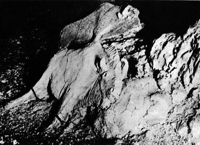 Preistoria: arte paleolitica, due bisonti di argilla, grotta del Tuc d