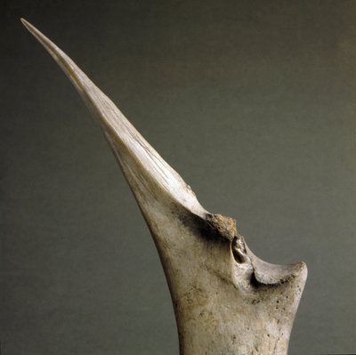 Preistoria, cultura di Polada: punta di ossa dalla torbiera di Polada, Lonato. Età del bronzo. Roma, Museo Nazionale Preistorico Etnografico Luigi Pigorini da Prehistoric Prehistoric