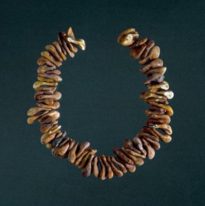 Preistoria, Età della Pietra: collana di ossa dalla grotta di Polesine, Veneto. Roma, Museo Nazionale Preistorico Etnografico Luigi Pigorini da Prehistoric Prehistoric