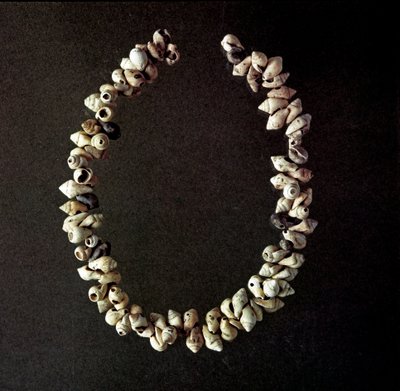 Preistoria, età della pietra: collana di conchiglie dalla grotta di Polesine, Veneto. Neolitico medio. Roma, Museo Nazionale Preistorico Etnografico Luigi Pigorini da Prehistoric Prehistoric