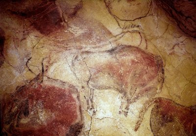 Preistoria: bisonte a riposo, pittura rupestre del Paleolitico superiore (Magdaleniano). Grotta di Altamira, Santander, Spagna da Prehistoric Prehistoric