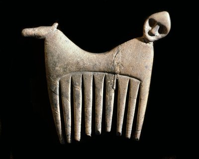 Preistoria: pettine d