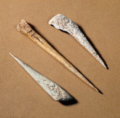 Preistoria: perca ossea risalente al Paleolitico da Prehistoric Prehistoric