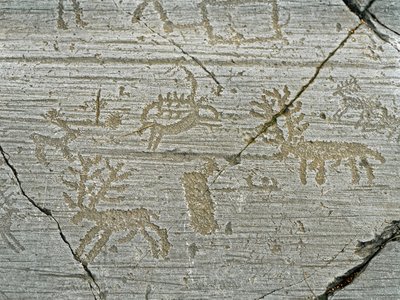 Preistoria, civiltà dei Camuni, arte rupestre: roccia tombale con rappresentazione di cervi da Prehistoric Prehistoric