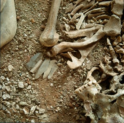 Preistoria: doppia sepoltura di adulti e bambini. Vista dettagliata del corredo funerario dalla Grotta delle Arene Candide (Finale Ligure), Liguria. Mesolitico, 7000-6000 a.C. Genova, museo di archeologia ligure da Prehistoric Prehistoric