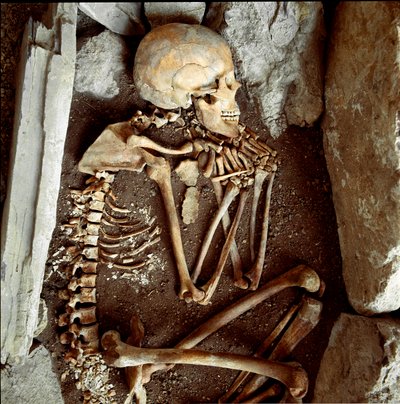 Preistoria: scheletro femminile dalla grotta delle Arene Candide (Finale Ligure). Età della Pietra, Neolitico. Genova, Museo di Archeologia Ligure da Prehistoric Prehistoric