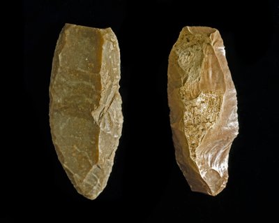 Preistoria: raddrizzatori o raschiatoi in selce risalenti al Calcolitico. Da Umbria (Italia) da Prehistoric Prehistoric