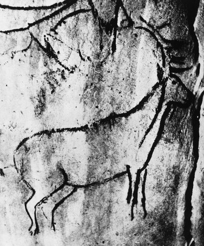 Preistoria: rappresentazione di un cervo nella grotta di Niaux in Ariège da Prehistoric Prehistoric