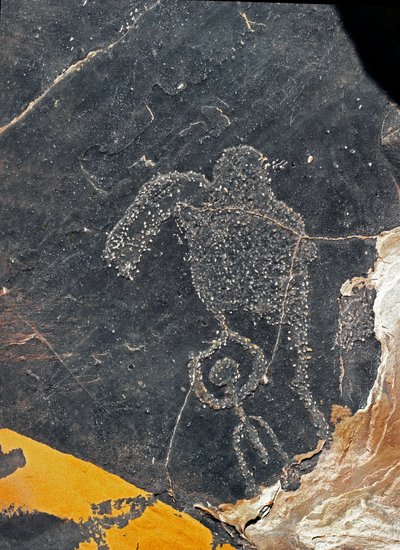 Preistoria, arte rupestre: roccia tombale con figura umana. Età della pietra 5000-2000 a.C. Taghit, Haut plateau du Hoggar (Ahaggar), Algeria da Prehistoric Prehistoric