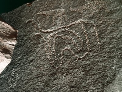 Preistoria, arte rupestre: rappresentazione di un bovino da Prehistoric Prehistoric