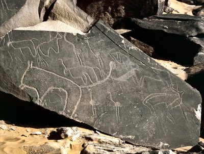 Preistoria, arte rupestre: roccia tombale raffigurante leoni, antilopi, struzzi e bovini. Età della Pietra 5000-2000 a.C. Taghit, Alto piano del Hoggar, Algeria da Prehistoric Prehistoric