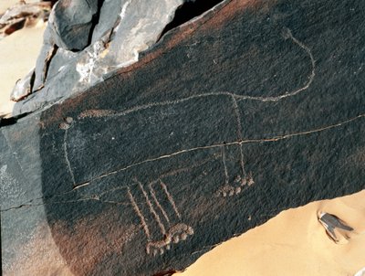 Preistoria, arte rupestre: roccia tombale con rappresentazione di un leone da Prehistoric Prehistoric