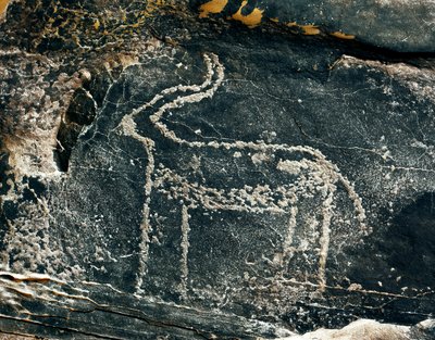 Preistoria, arte rupestre: roccia funeraria con rappresentazione di un