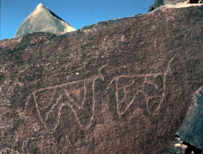 Preistoria, arte rupestre: roccia tombale con la rappresentazione di bovini (stile Tazina) da Prehistoric Prehistoric