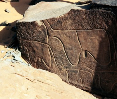 Preistoria, arte rupestre: roccia tombale con la rappresentazione di bovini (stile Tazina) da Prehistoric Prehistoric