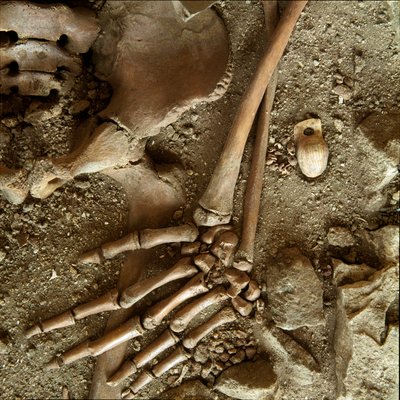 Preistoria: sepoltura di adolescente. Vista dettagliata del corredo funerario dalla grotta di Arene Candide, Liguria. Paleolitico superiore, 24000 a.C. da Prehistoric Prehistoric
