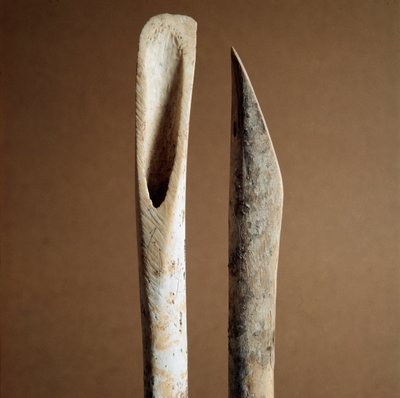 Preistoria: strumenti per rimuovere la corteccia dalle ossa di stinco di capra e pecora dalla necropoli di Arene Candide, Liguria. Neolitico medio, età della pietra da Prehistoric Prehistoric