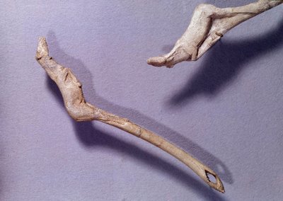 Preistoria: due propulsori detti “al cavallo saltante” realizzati in legno di renna. Periodo del Magdaleniano Medio. Saint Germain en Laye, Museo Nazionale di Archeologia da Prehistoric Prehistoric