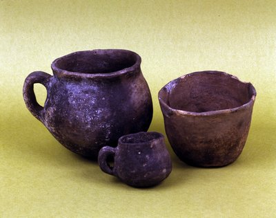 Vaso e recipienti della popolazione Hunseans di Lagozza (3100 a.C. - 2200 a.C.) dell