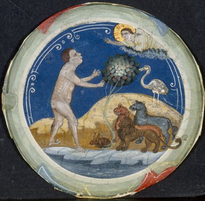 Medaglione dal Bordo di una Bibbia Latina: Il Sesto Giorno della Creazione, primi anni 1300 da Primo Miniatore di San Domenico