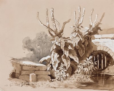 Studio di piante vicino a un fossato, con aggiunte di un istruttore, 1856 da Prince Gaetano Maria Federico di Borbone
