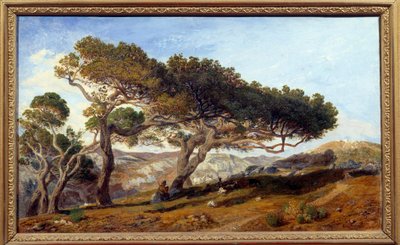 Pini nella campagna di Aix en Provence da Prosper Joseph Gresy