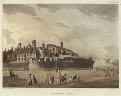 Vista della Torre da Pugin and Rowlandson