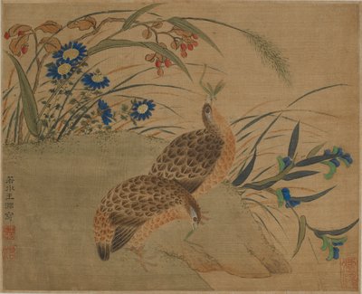 Due quaglie che mangiano cavallette sotto i fiori da Qing Dynasty Chinese School