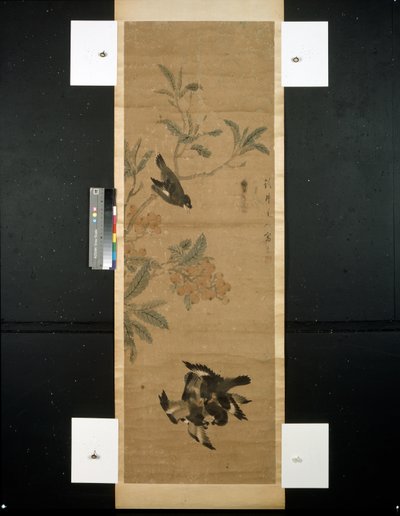 Uccelli e ramo da Qing Dynasty Chinese School