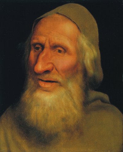 Testa di un vecchio da Quentin Massys or Metsys
