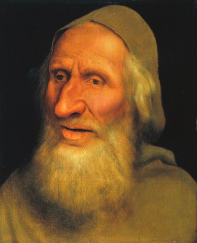 Testa di un vecchio da Quentin Massys or Metsys