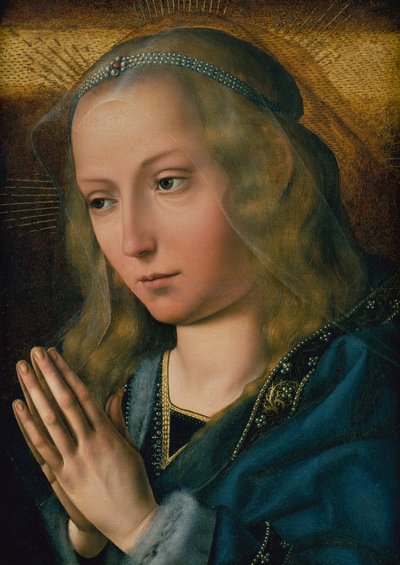 La Vergine in Adorazione, c.1491-1505 da Quentin Massys or Metsys