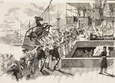 Un mulo viene caricato sulla nave Principe Amedeo, spedizione italiana nel Mar Rosso, Italia, incisione da un disegno di Quinto Cenni e schizzo di M Dal Don, da L