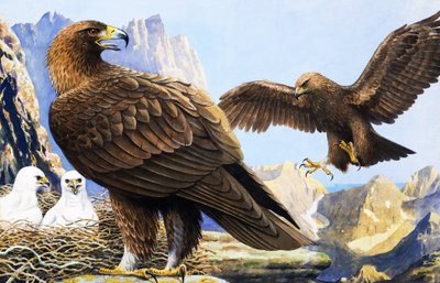 Il re degli uccelli, da "Il paese delle meraviglie". da R.B. Davis