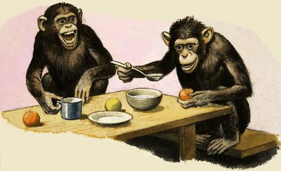 Z come Zoo. La festa del tè dello scimpanzé da R.B. Davis