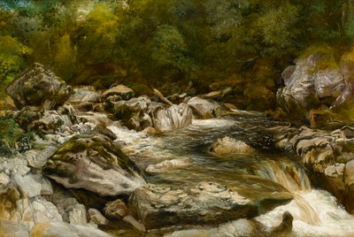 Cascata sul fiume Conway, Galles del Nord da R. Haddon