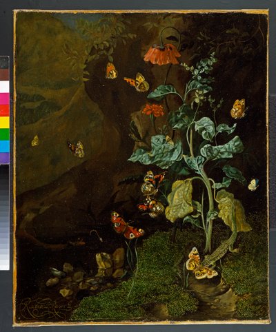 Natura morta con fiori, farfalle e una lucertola in una valle da Rachel Ruysch