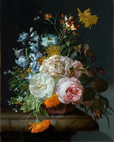 Fiori in un vaso di terracotta da Rachel Ruysch
