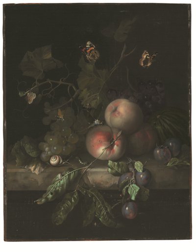 Pesche, uva e prugne con una libellula, una lumaca, un bruco, falene e altri insetti su un cornicione di pietra da Rachel Ruysch