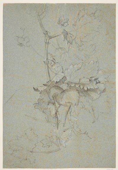 Studio di piante da Rachel Ruysch