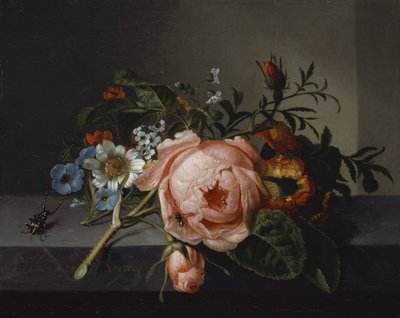 Natura morta con ramo di rosa, scarabeo e ape, 1741 da Rachel Ruysch