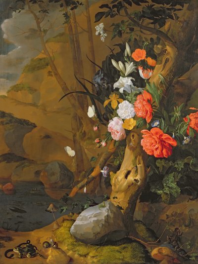Immagine sconosciuta da Rachel Ruysch