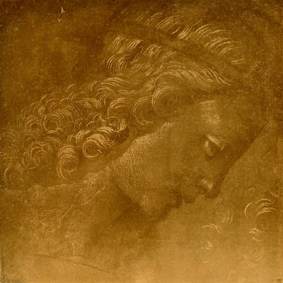 Studio di testa di angelo da Raffaellino del Garbo