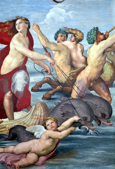 Galatea, dettaglio di tritoni e delfini (dettaglio) da Raffaello Sanzio Raphael
