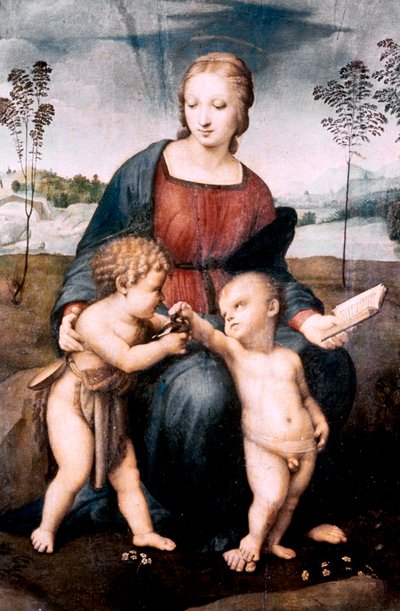 Madonna del Cardellino, 1507 da Raffaello Sanzio Raphael