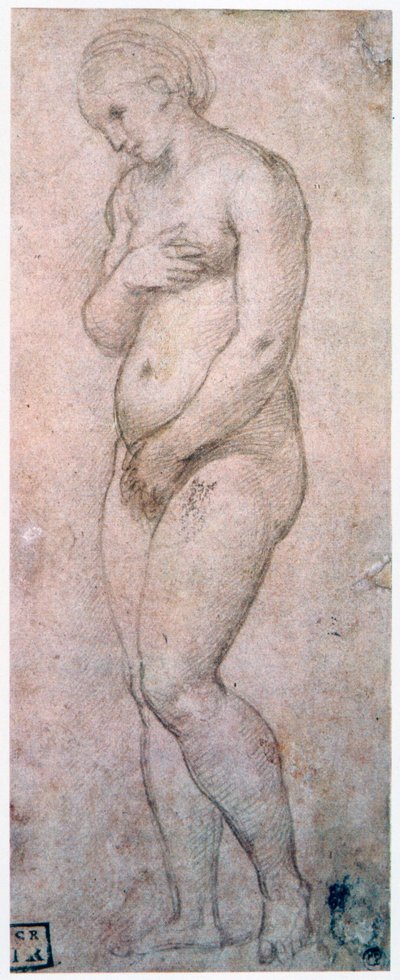 Studio di Venere, c1500-1520 da Raffaello Sanzio Raphael